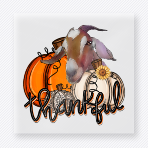 Thankful Turkey Pumpkin fall and Thanksgiving DTF transfer featuring a turkey and pumpkin design with the word Thankful