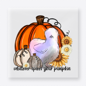 Whatever Spices Your Pumpkin Pumpkin Bird fall and Thanksgiving DTF transfer featuring a pumpkin bird design