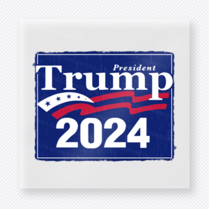 President Trump 2024 Navy | Political DTF Transfer