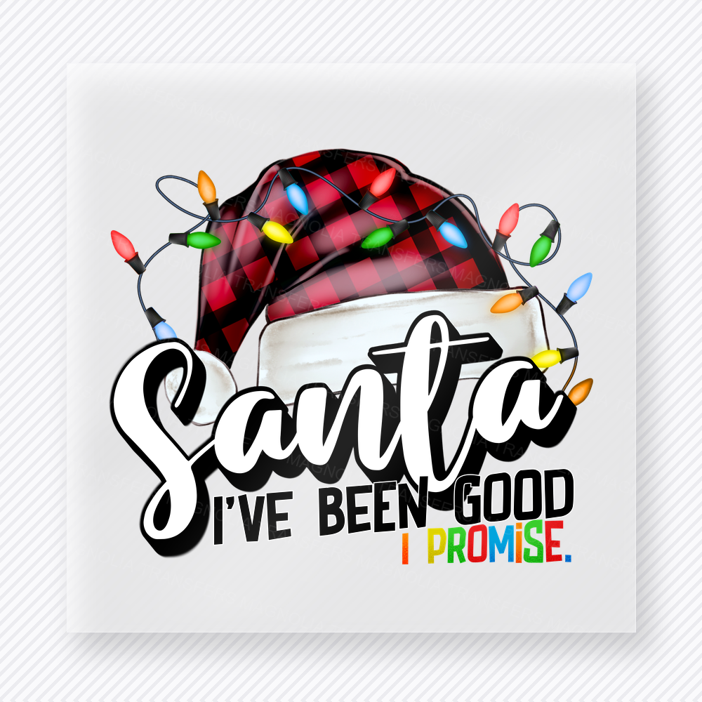Santa I've Been Good I Promise Christmas DTF Transfers