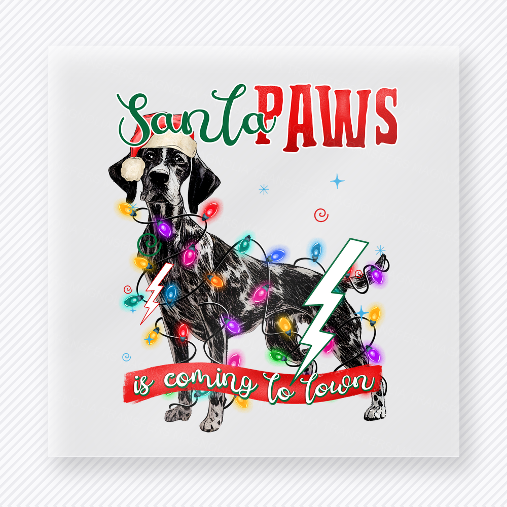 Santa Paws Black Dog Christmas DTF transfer featuring Santa Paws black dog Christmas design with lights