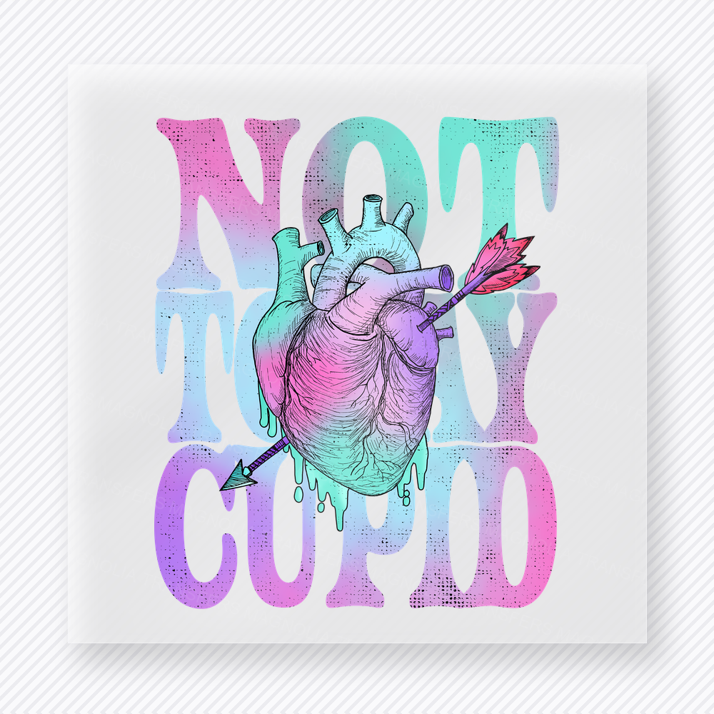 Not Today Cupid Rainbow Valentine's Day DTF Transfers